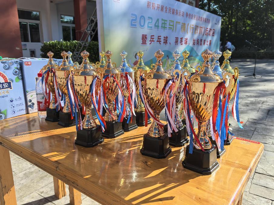 全椒县马厂镇成功举办第二届行政村运动会(图7)