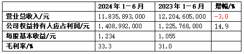 恒安国际2024年上半年实现营业收入11836亿元(图1)