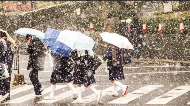 日本女高中生被暴雪给吹傻了还光腿穿短裙上学理由竟然是学校不让多穿？！(图8)