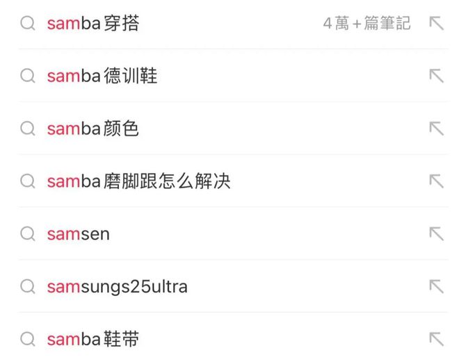 阿迪达斯单枪杀入奢侈品市场胜算几何？(图5)