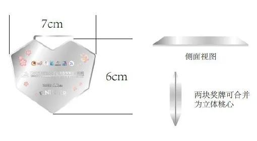 2025澜湄大理马拉松完赛奖牌、参赛服装发布(图6)