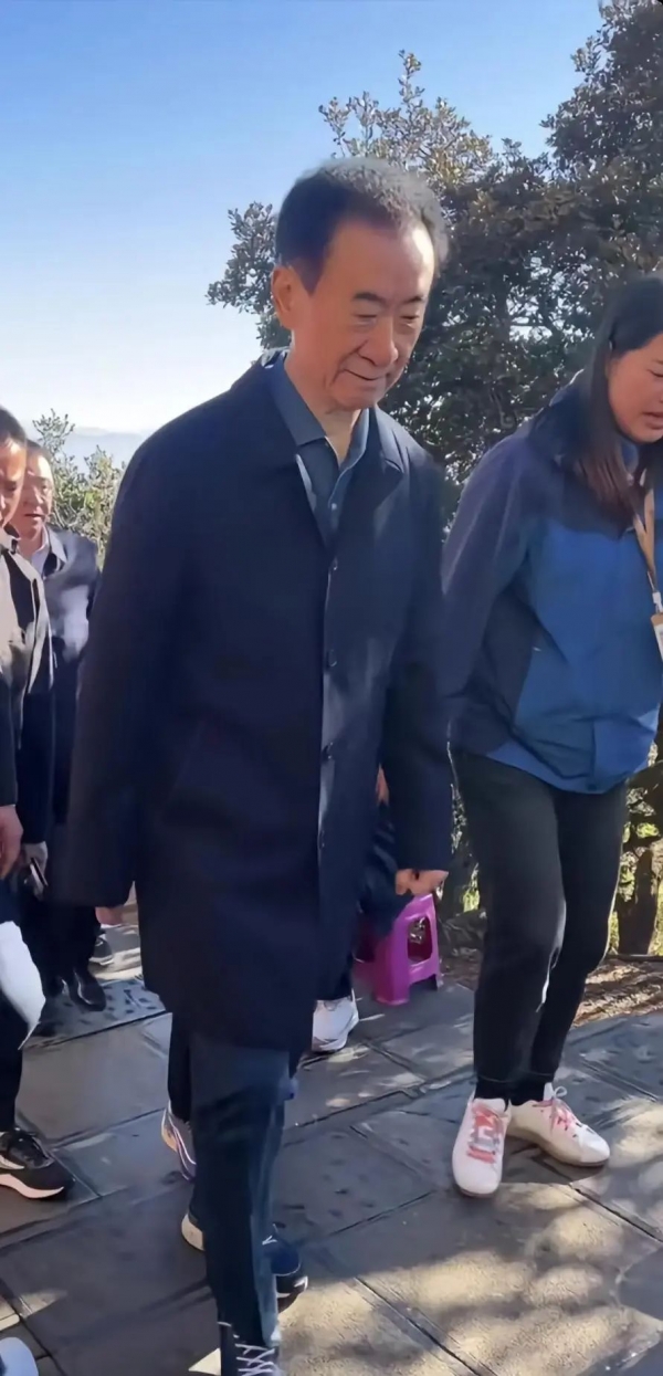 王健林突发！又被冻结超3亿元股权(图5)