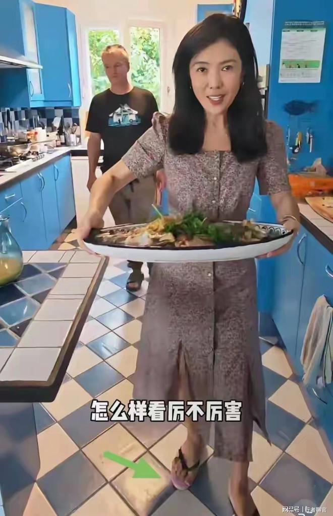 苏芒住丈夫的法国大别墅给丈夫家15口人做饭跟普通主妇没差别(图5)