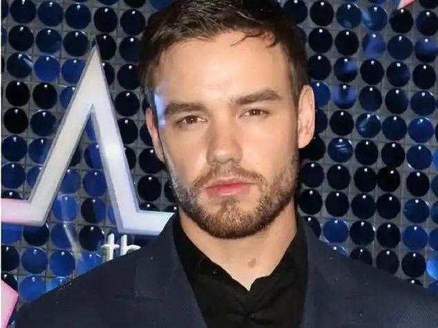 单向乐队成员利亚姆女友遇粉丝骚扰巧应对悼念旧爱藏细节(图2)