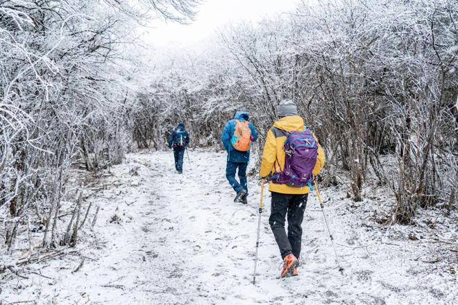 又不爬山又不下河为什么今年中产突然就爱买冲锋衣了?(图11)