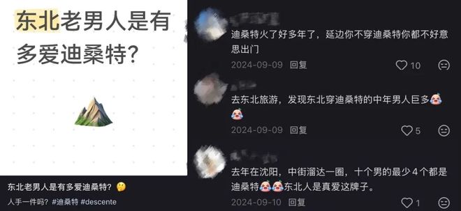 4000元的迪桑特被买成了“东北省服”(图1)